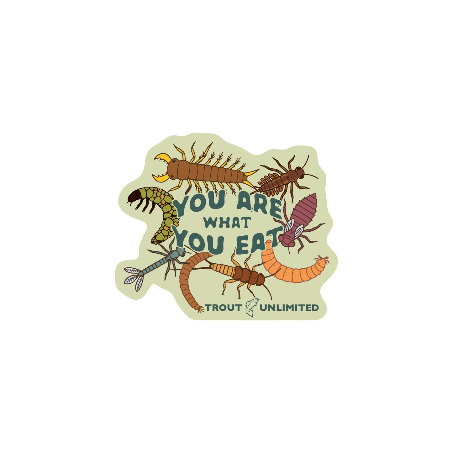 Macro Sticker