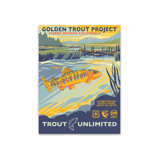 Golden Trout Project Sticker